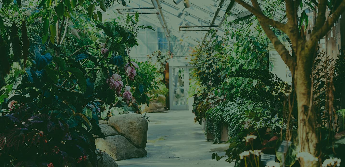 Total Grounds Management